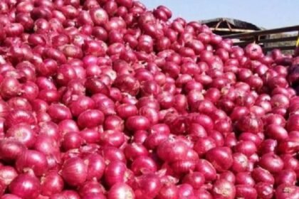 नासिक मंडी में बढ़ती प्याज की कीमत और महंगाई