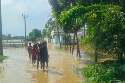भागलपुर में गंगा का बढ़ता जलस्तर और राघोपुर जमींदारी बांध पर कटाव