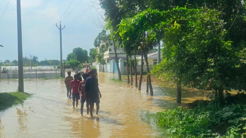 भागलपुर में गंगा का बढ़ता जलस्तर और राघोपुर जमींदारी बांध पर कटाव