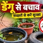 डेंगू से बचाव: मच्छरों से ऐसे करें सुरक्षा