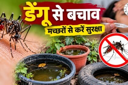 डेंगू से बचाव: मच्छरों से ऐसे करें सुरक्षा
