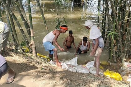 Gopalganj News: सारण मुख्य बांध में रैट होल से रिसाव तेज