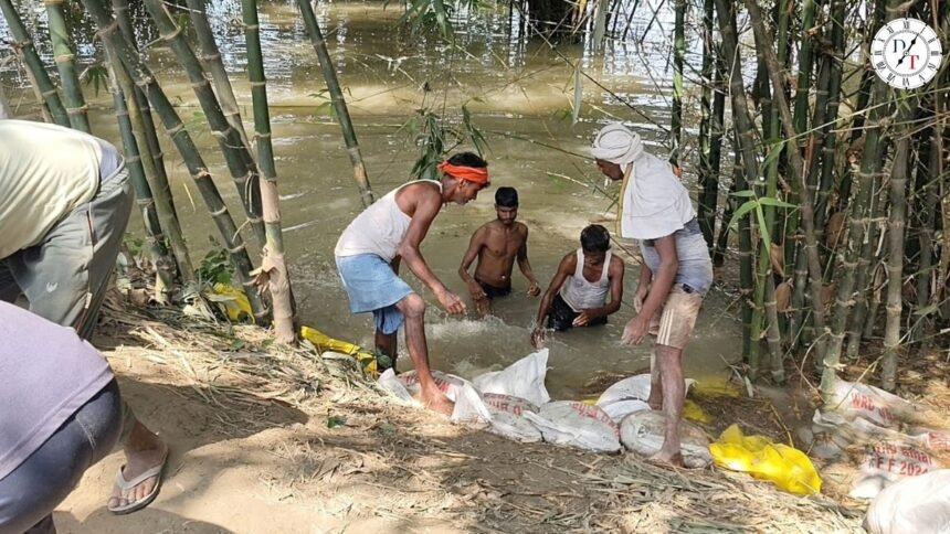Gopalganj News: सारण मुख्य बांध में रैट होल से रिसाव तेज