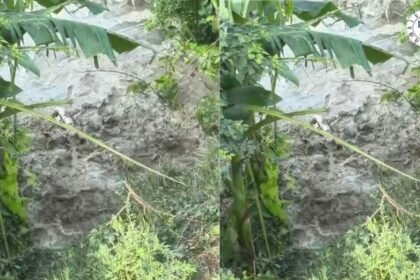 मकेर में सारण तटबंध टूटा