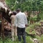 मंदार छेड़छाड़ केस: 3 आरोपितों के घर चला बुलडोजर, छापेमारी जारी