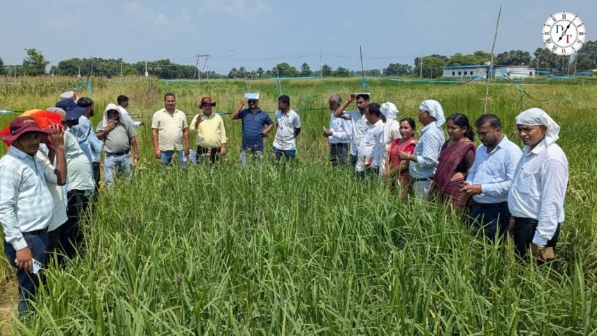 मायापुर में मिलेट्स की खेती का प्रशिक्षण लेते किसान