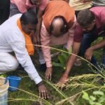नालंदा के रुखाई गांव में सेवा संकल्प अभियान के तहत पौधरोपण