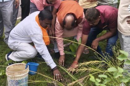 नालंदा के रुखाई गांव में सेवा संकल्प अभियान के तहत पौधरोपण