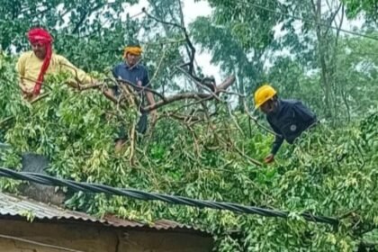 इटाढ़ी बक्सर में आंधी बारिश के बाद बिजली तार पर गिरा पेड़ और मरम्मत करते बिजलीकर्मी