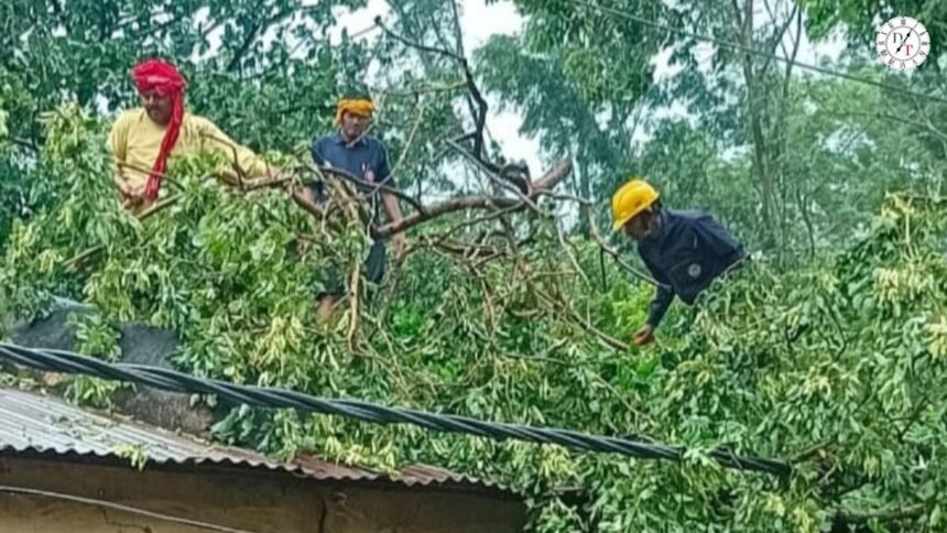 इटाढ़ी बक्सर में आंधी बारिश के बाद बिजली तार पर गिरा पेड़ और मरम्मत करते बिजलीकर्मी