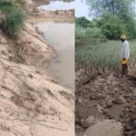 बारुण में सोन नदी की बाढ़ से बर्बाद खेत और फसल