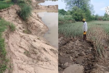 बारुण में सोन नदी की बाढ़ से बर्बाद खेत और फसल