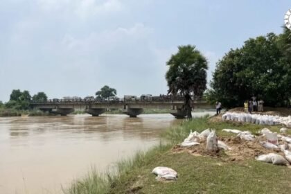 नालंदा में बाढ़ के बीच नदी का बढ़ा जलस्तर और खेतों में भरा पानी