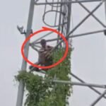 नौबतपुर में मोबाइल टावर पर चढ़ी किशोरी