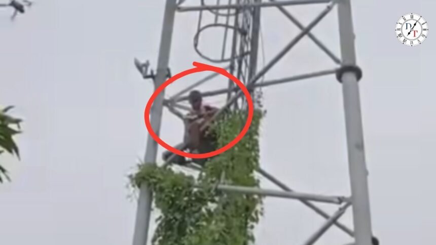 नौबतपुर में मोबाइल टावर पर चढ़ी किशोरी
