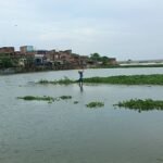 मधेपुरा के चौसा और आलमनगर में कोसी का बढ़ता पानी