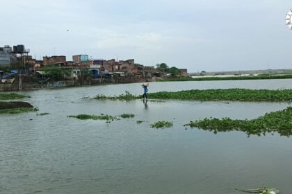 मधेपुरा के चौसा और आलमनगर में कोसी का बढ़ता पानी