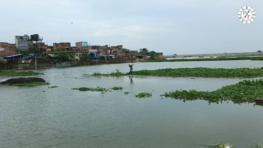 मधेपुरा के चौसा और आलमनगर में कोसी का बढ़ता पानी