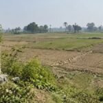 बक्सर के सुघर छपरा मौजा की 345 बीघा जमीन का राजस्व रिकॉर्ड मामला