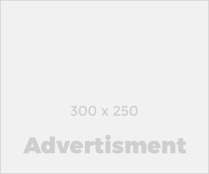 Dinman Ads