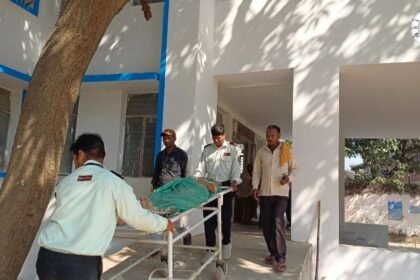 गुठनी प्रखंड कार्यालय में गेट गिरा, सफाईकर्मी घायल