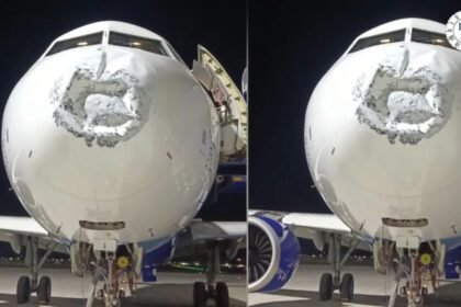 IndiGo Flight 6E925 Lightning Strike और Lucknow Emergency Landing