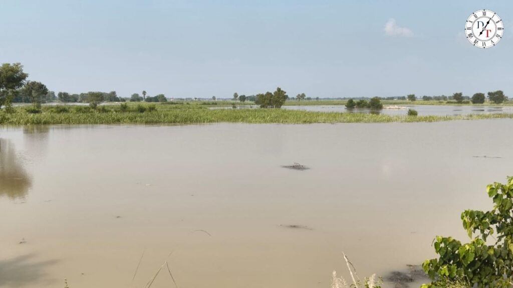 गोपालगंज के शीतलपुर में टूटा रिंग तटबंध और बाढ़ का पानी