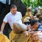 तमिलनाडु SIR पर राहुल गांधी से DMK का सवाल