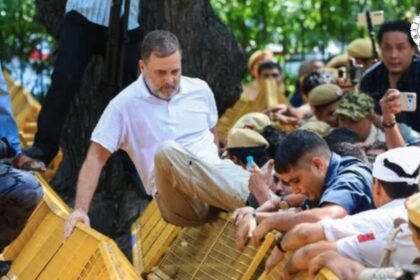 तमिलनाडु SIR पर राहुल गांधी से DMK का सवाल